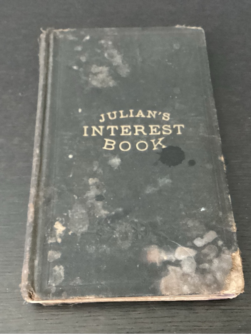 Antique 1888 Julian’s Internet Book by Eran Julian this is a 138 year old book